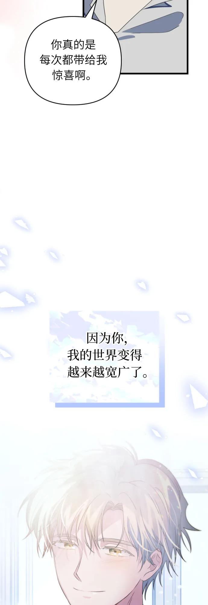 51.jpg