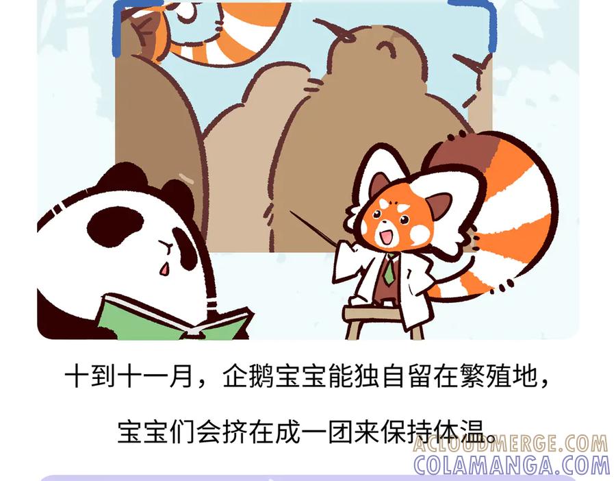 《胖达x胖达》第276话 第25页
