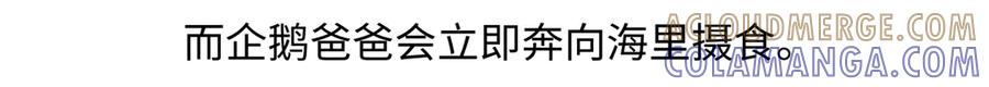 《胖达x胖达》第276话 第21页