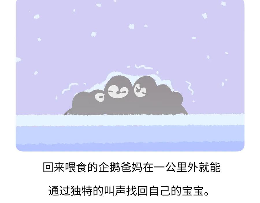 《胖达x胖达》第276话 第26页