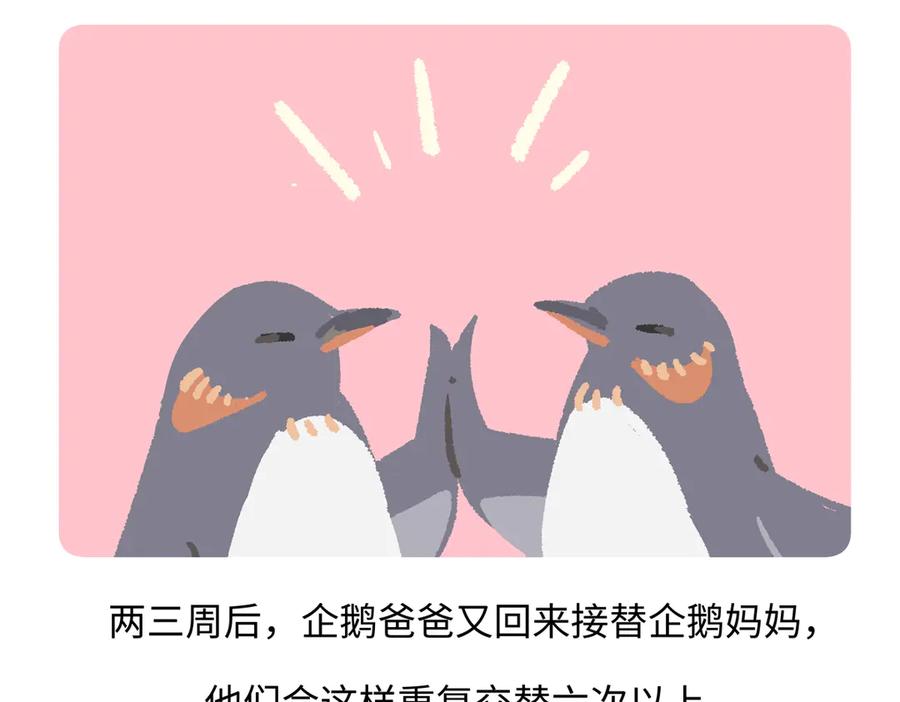 《胖达x胖达》第276话 第22页