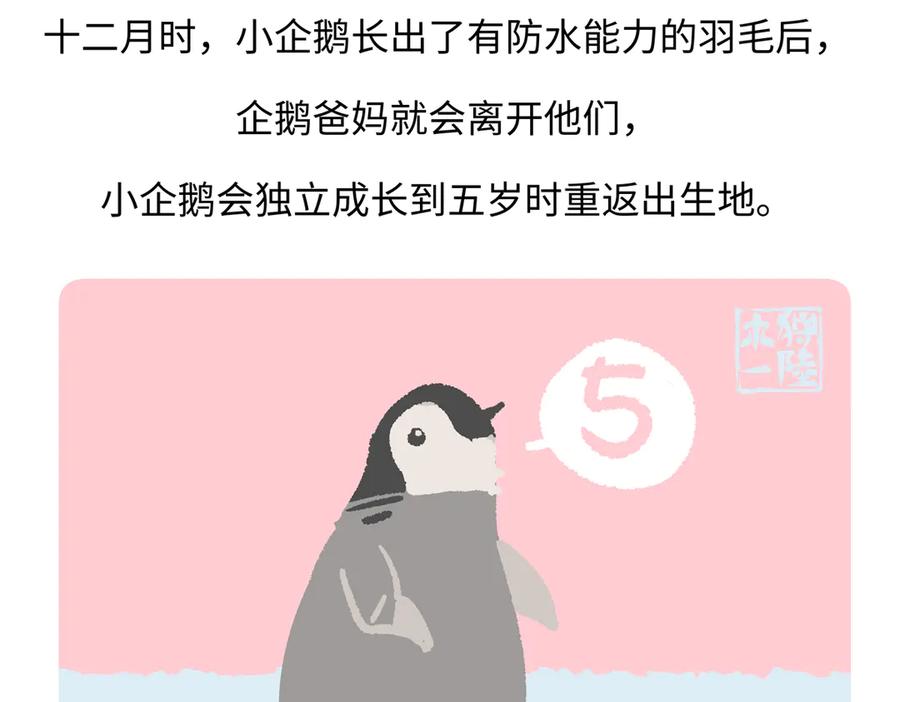 《胖达x胖达》第276话 第28页