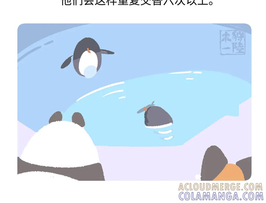 《胖达x胖达》第276话 第23页