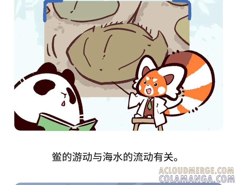 《胖达x胖达》第279话 第19页