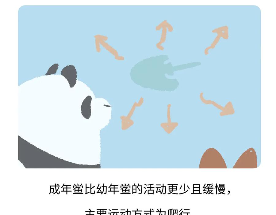《胖达x胖达》第279话 第22页