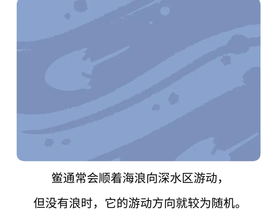 《胖达x胖达》第279话 第20页