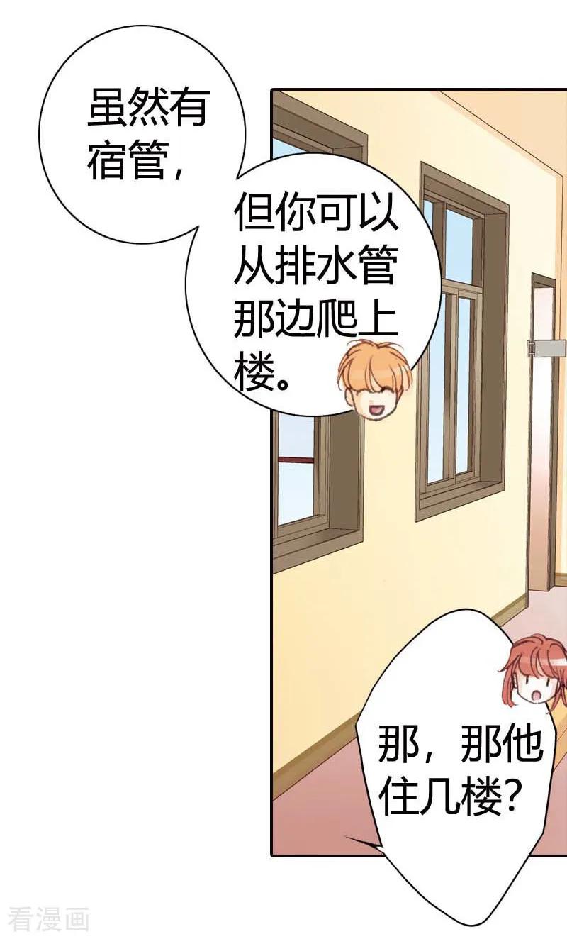 《灰姑娘进化论》第33话 第10页