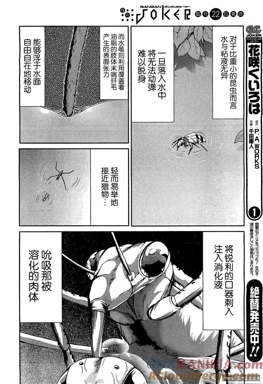 《Arachnid》第19话 怎么样都好啦 第34页