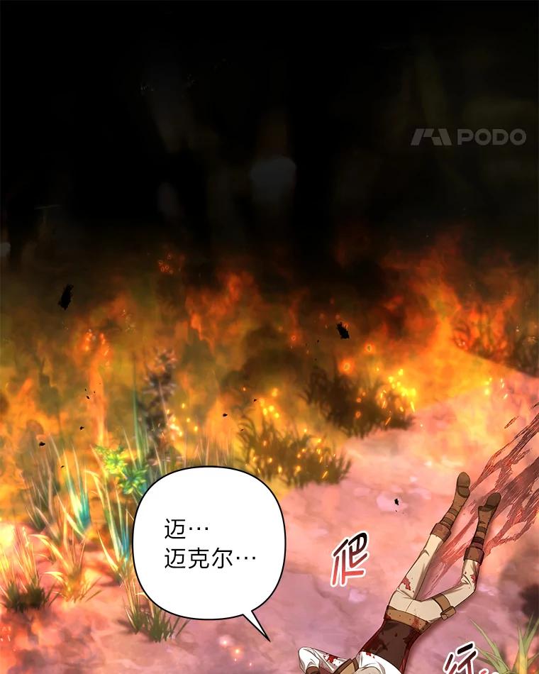 《为你的生命所献的时间》46.拉乌尔的身世 第112页