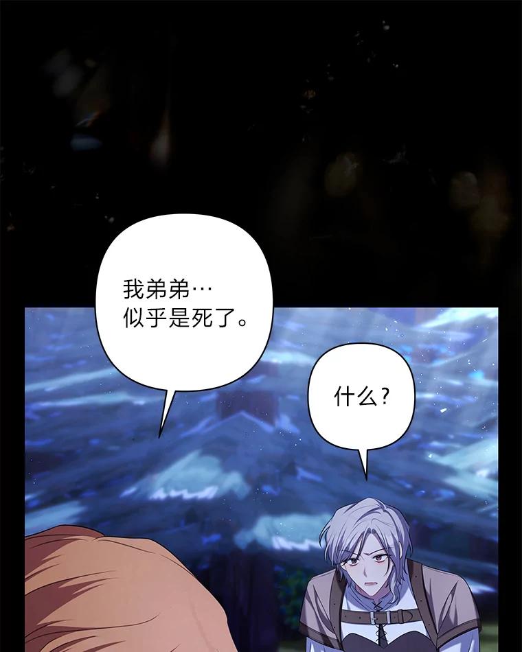 《为你的生命所献的时间》46.拉乌尔的身世 第100页