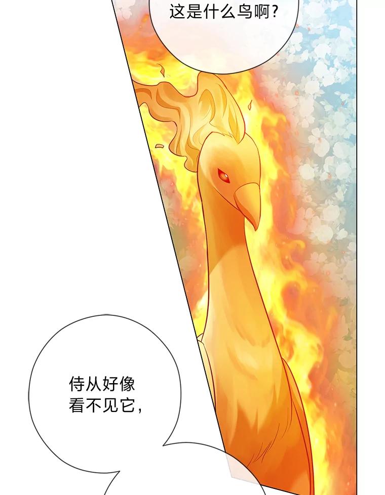 《你喜欢妈妈还是爸爸？》46.精灵师 第12页