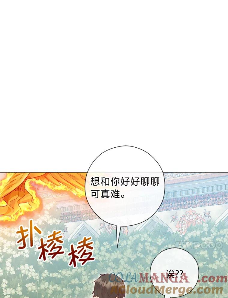 《你喜欢妈妈还是爸爸？》46.精灵师 第33页