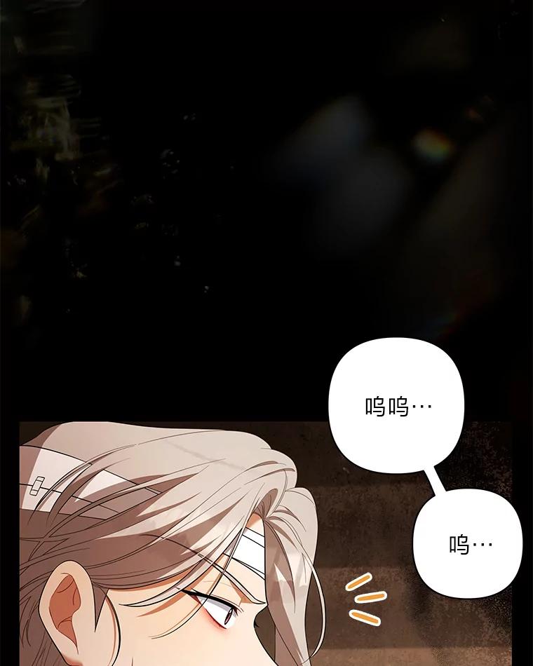 《为你的生命所献的时间》46.拉乌尔的身世 第131页