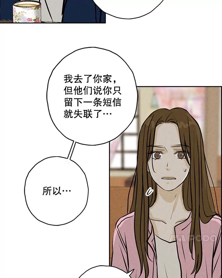 《消失的新郎》101.整理 第82页