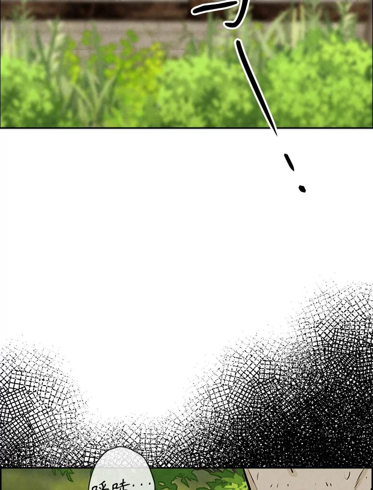 《消失的新郎》101.整理 第98页