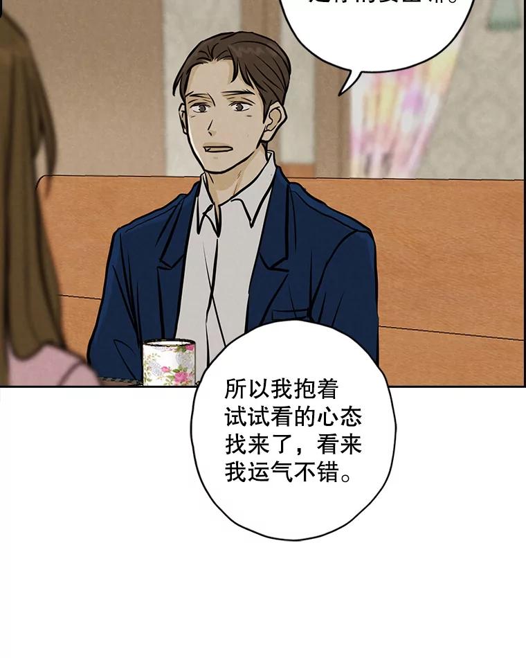 《消失的新郎》101.整理 第84页