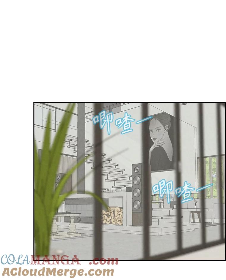 《消失的新郎》101.整理 第49页