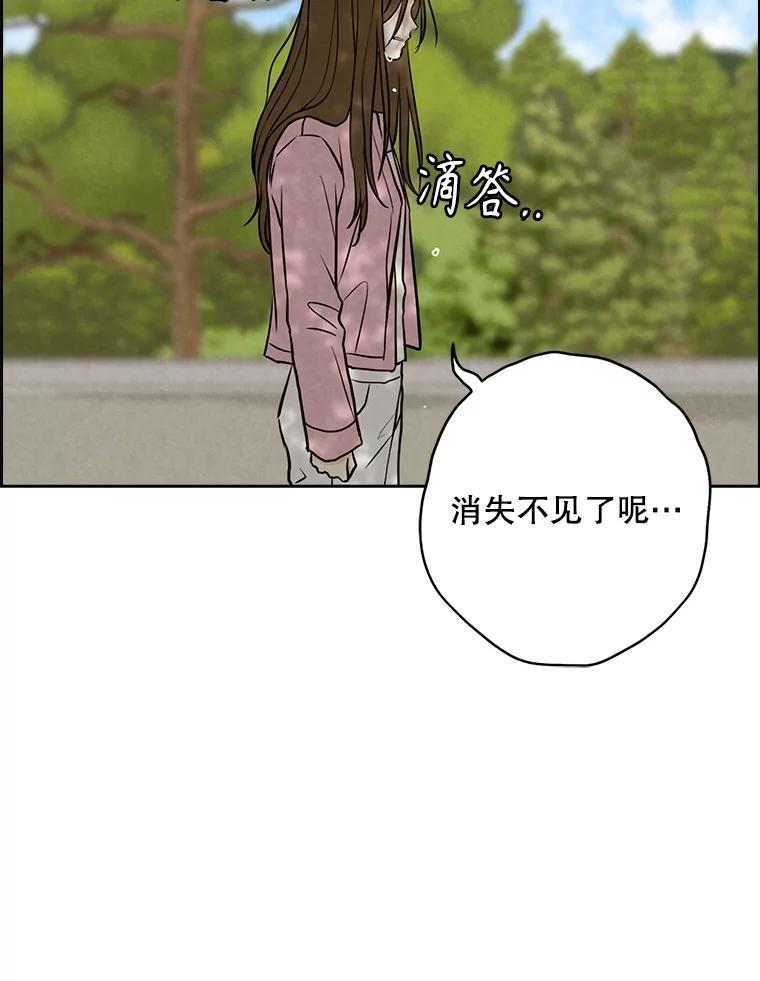 《消失的新郎》103.寻找仁轩 第90页