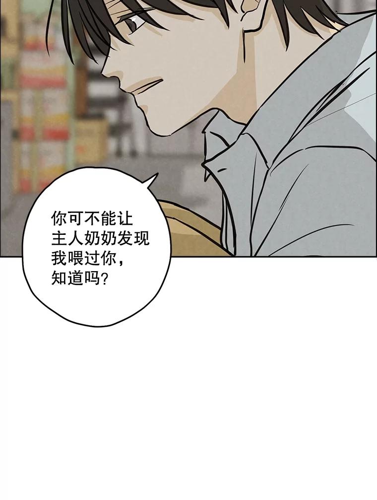 《消失的新郎》103.寻找仁轩 第6页