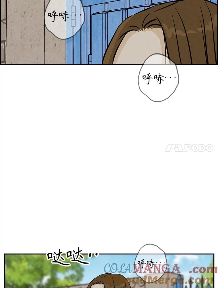 《消失的新郎》104.再会 第41页
