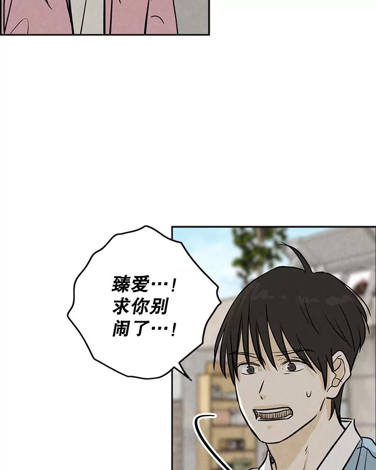 《消失的新郎》104.再会 第70页