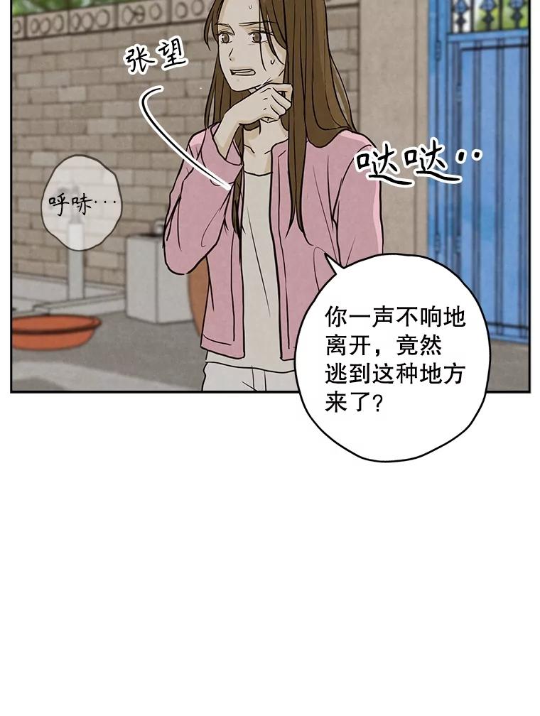 《消失的新郎》104.再会 第42页