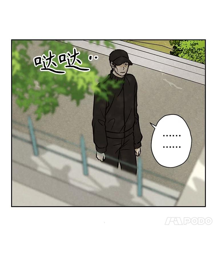 《消失的新郎》104.再会 第14页