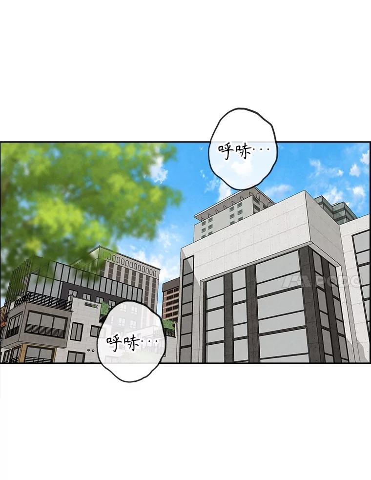 《消失的新郎》105.绑架 第7页