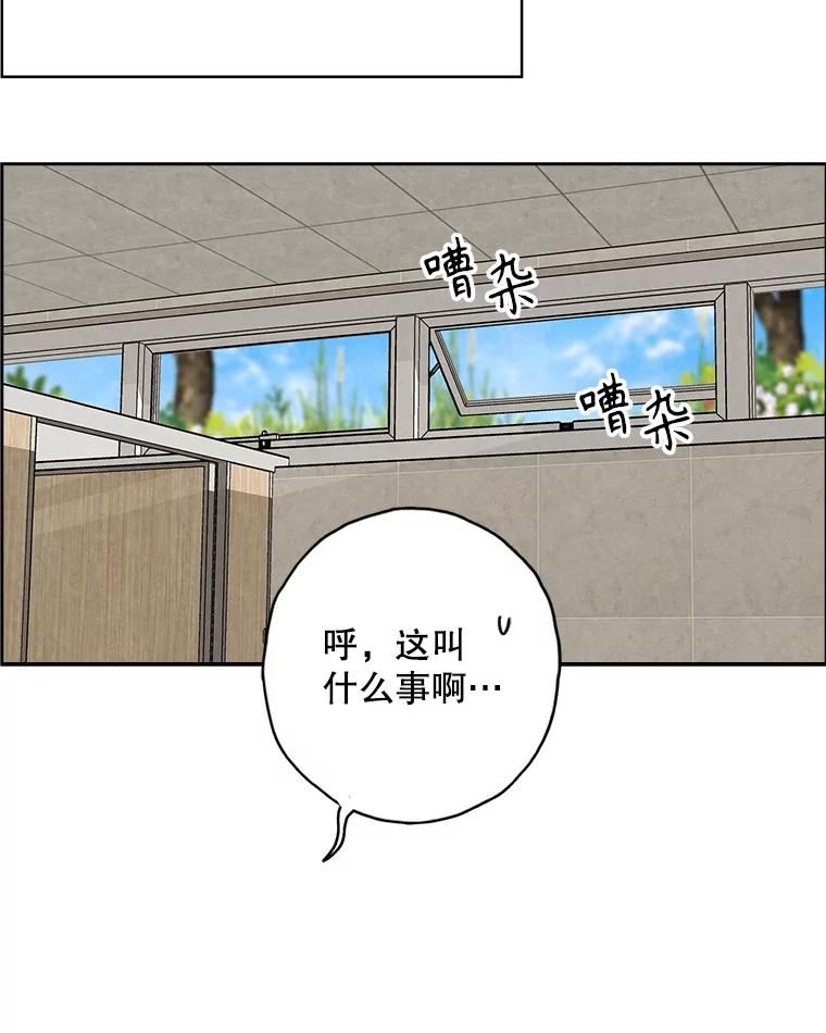 《消失的新郎》105.绑架 第99页