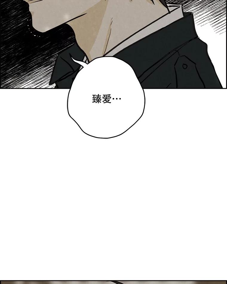 《消失的新郎》105.绑架 第67页