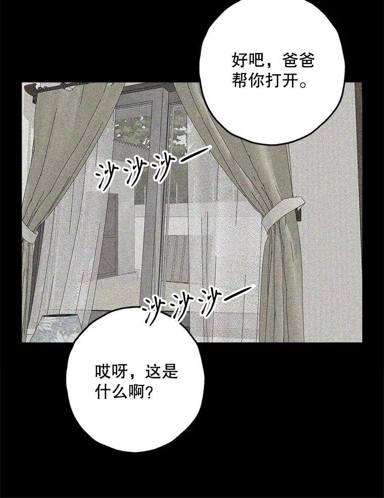 《消失的新郎》107.真实之镜 第86页