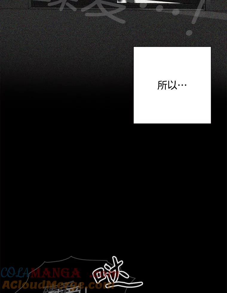 《消失的新郎》107.真实之镜 第45页