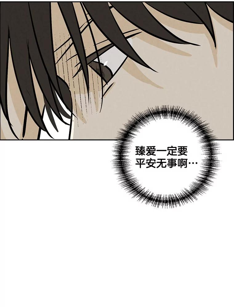 《消失的新郎》109.真实的爱 第92页