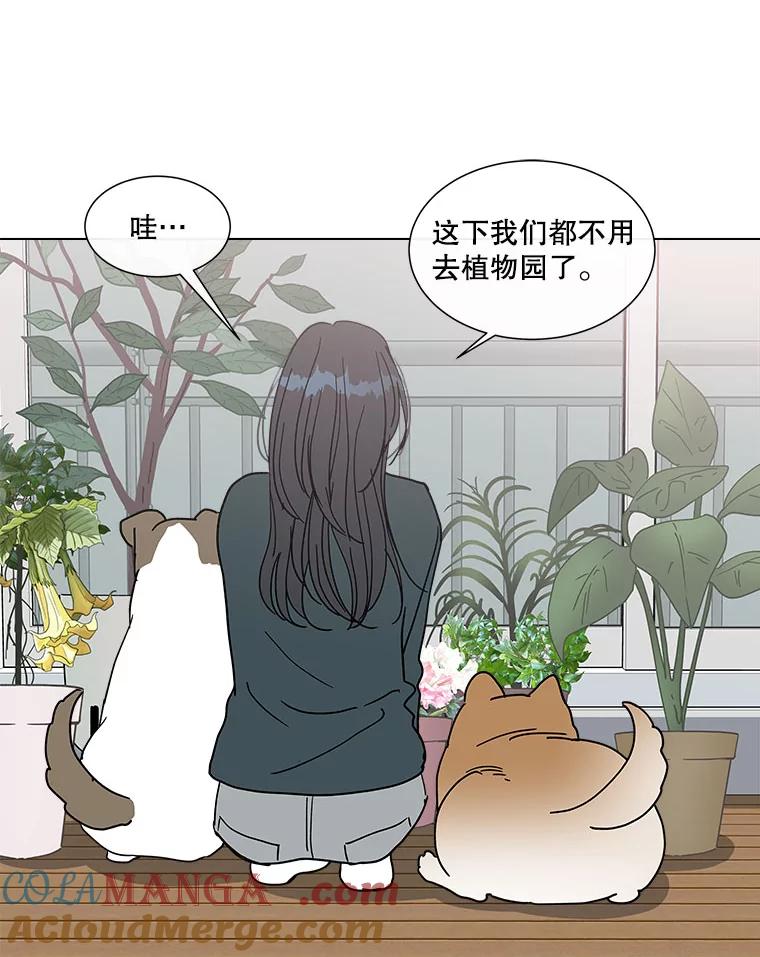 《青春之家》159.完美的生活 第34页