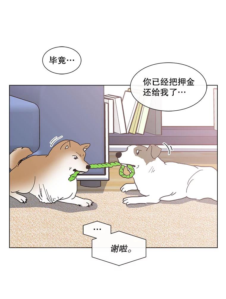 《青春之家》161.停滞不前2 第5页