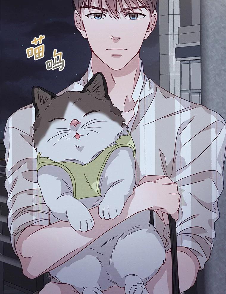 《蒂凡尼的早安吻》41.形同陌路 第83页