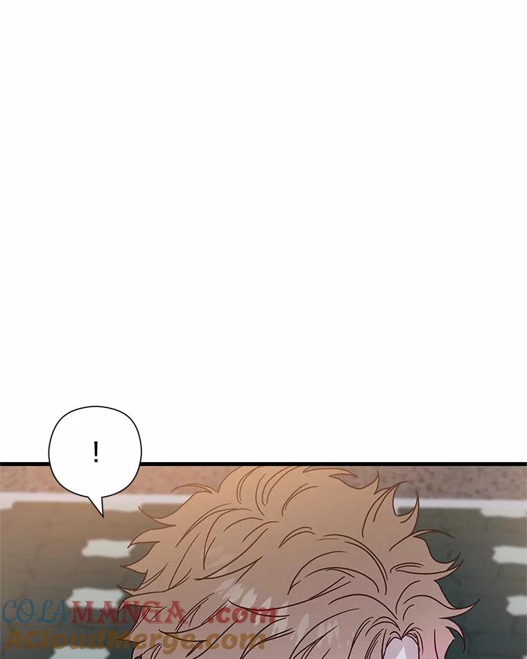 《蒂凡尼的早安吻》41.形同陌路 第57页