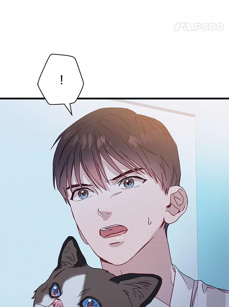 《蒂凡尼的早安吻》41.形同陌路 第79页