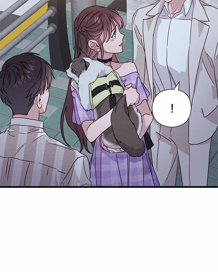 《蒂凡尼的早安吻》41.形同陌路 第94页