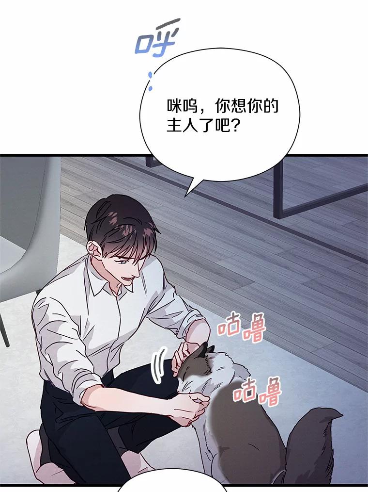 《蒂凡尼的早安吻》41.形同陌路 第16页
