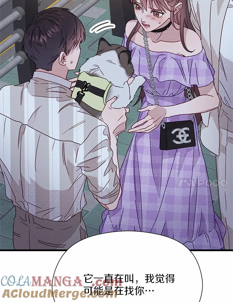 《蒂凡尼的早安吻》41.形同陌路 第85页