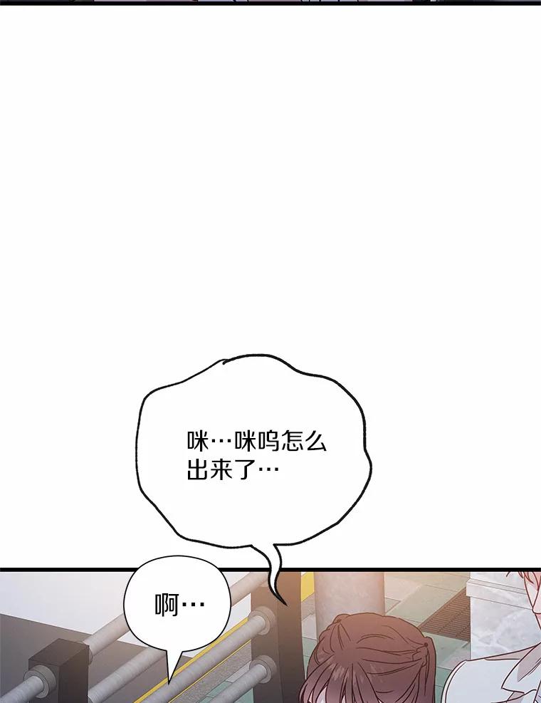 《蒂凡尼的早安吻》41.形同陌路 第84页