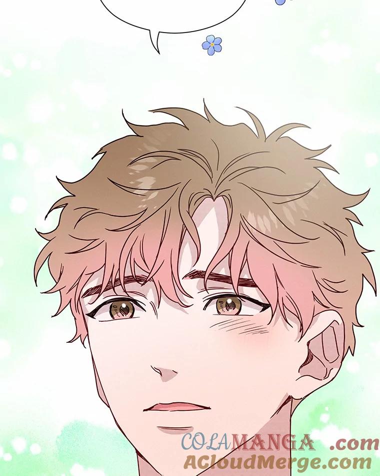 《蒂凡尼的早安吻》43.许愿券 第65页