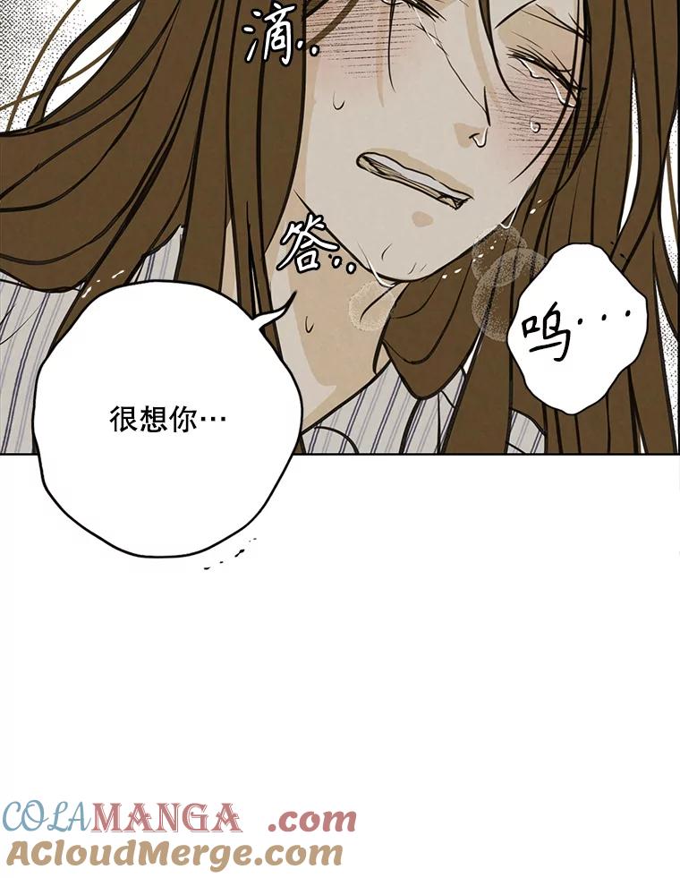 《消失的新郎》98.在梦里 第58页