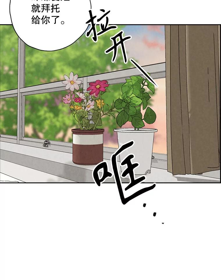 《消失的新郎》98.在梦里 第36页