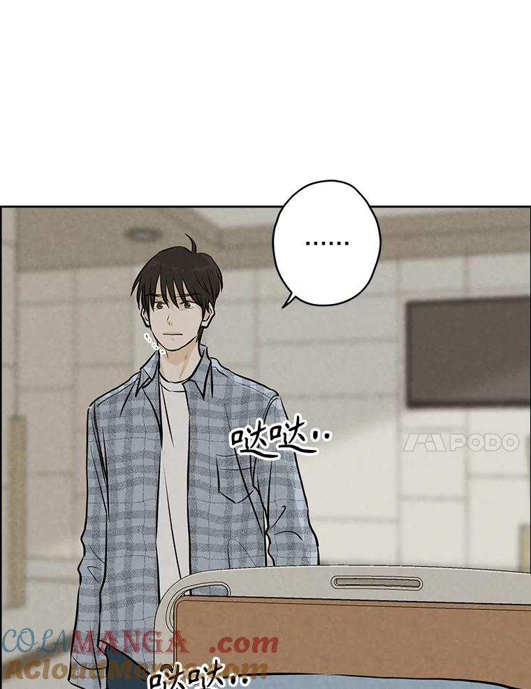《消失的新郎》98.在梦里 第37页