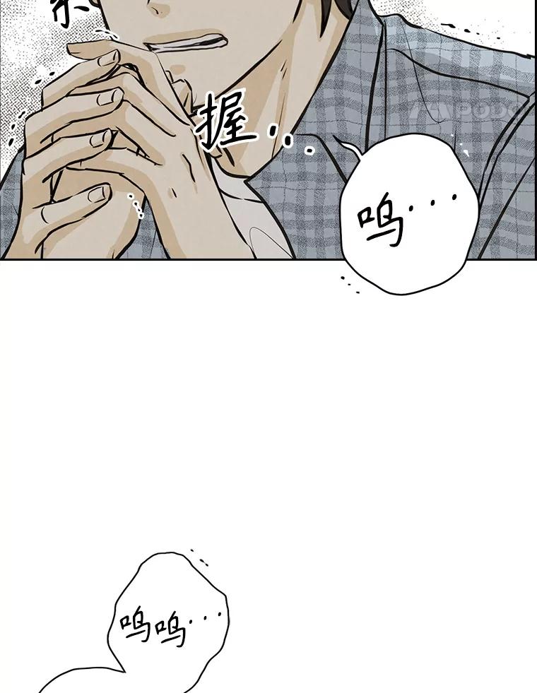 《消失的新郎》98.在梦里 第54页