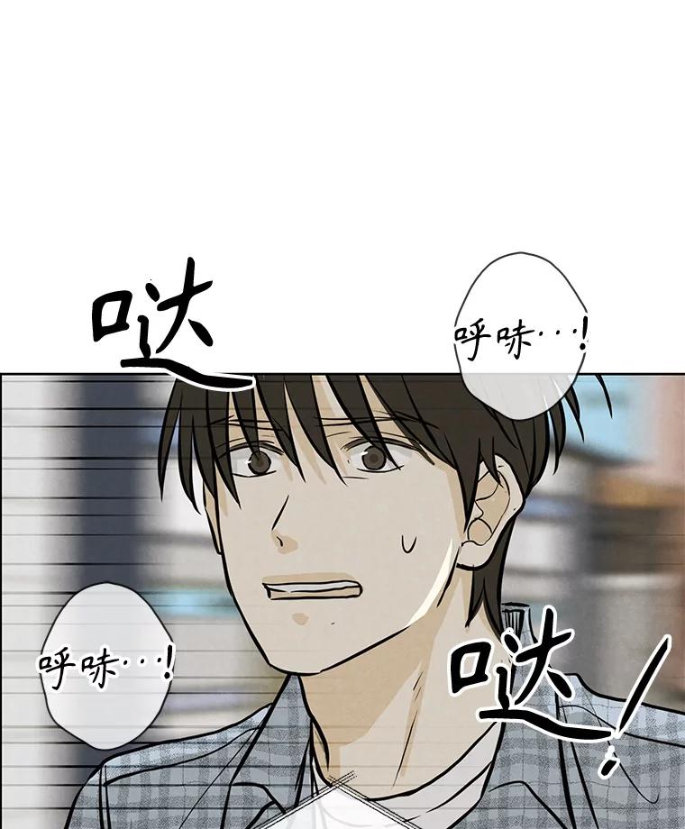 《消失的新郎》98.在梦里 第5页
