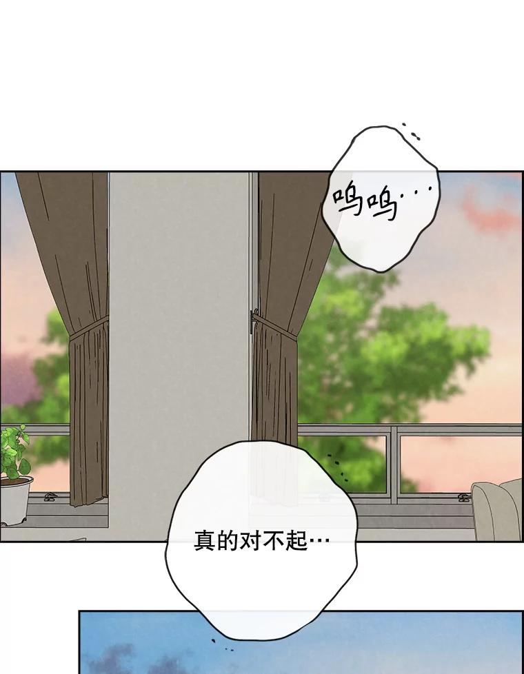 《消失的新郎》98.在梦里 第75页