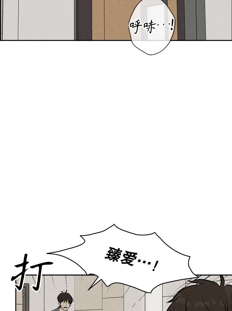 《消失的新郎》98.在梦里 第18页